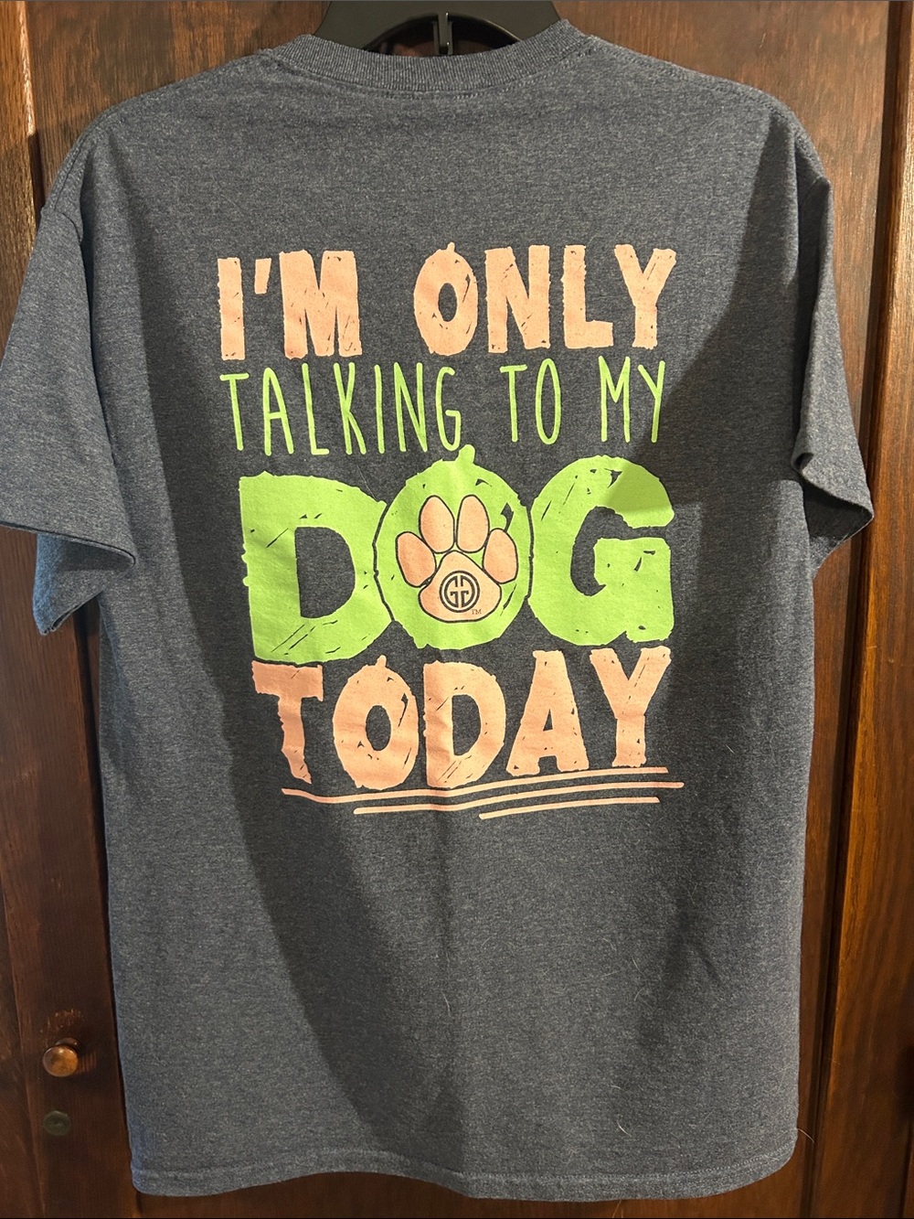 I'm Only Talking To My Dog Today Graphic Tee - Gray